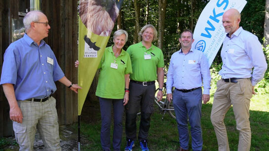 SDG Scouts für mehr Nachhaltigkeit in Unternehmen