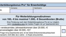 Neu: 90 Prozent Förderung mit Weiterbildungsbonus Pro